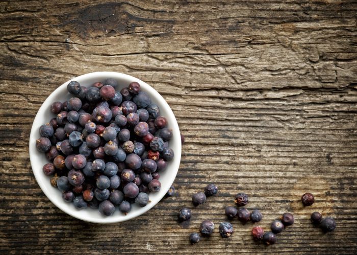 Juniper berries for distilling