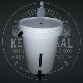 Basic beer fermentation kit