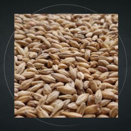 malted barley and grain